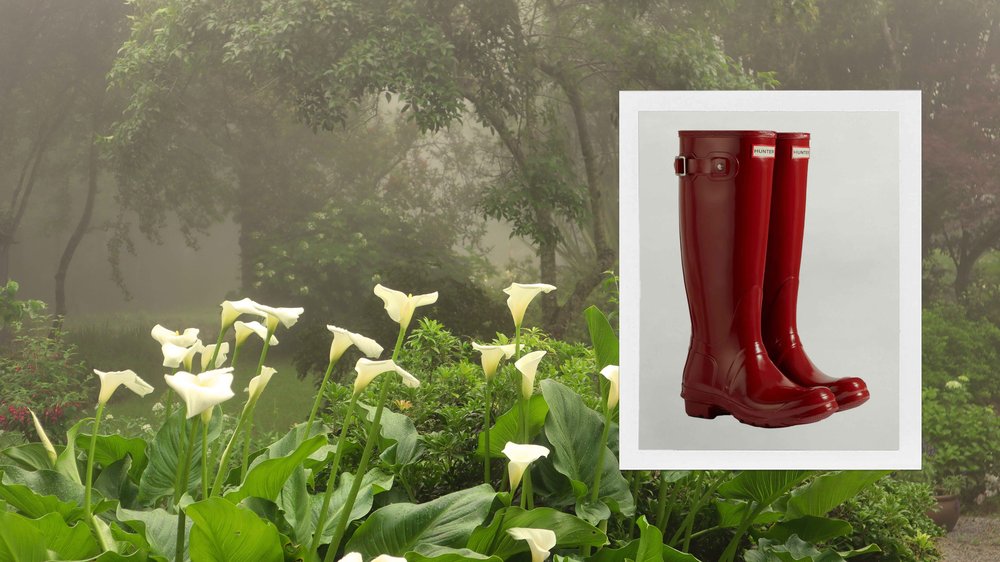 Непромокаемые сапоги Hunter: классика, которая снова спасает от дождя